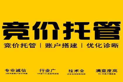 某企业SEM广告投放的ROI提升之路